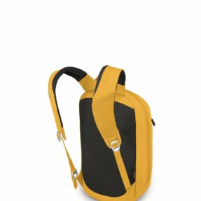 Osprey Backpack